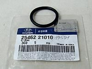 Hyundai-KIA 2546221010