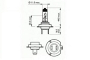 SCT 202907