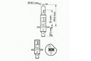 SCT 202631