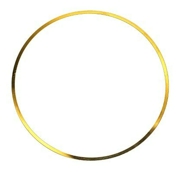 Elring 703214