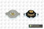 Bga CC3014