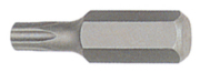 Licota BTX33040