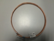 Wp WP331