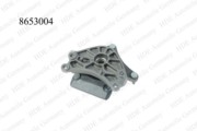 HDE 8653004