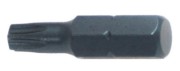 Licota S3TX102510