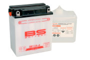 BS Battery 310561