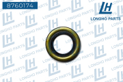 Longho 8760174