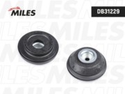 Miles DB31229