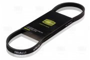 Trialli 4PK815
