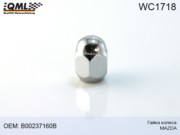 QML WC1718