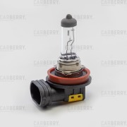 CARBERRY 31CA8