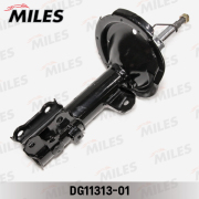 Miles DG1131301