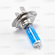 CARBERRY 31CA13PL
