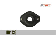 TRT NR1029