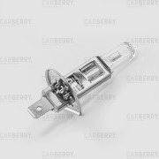 CARBERRY 31CA11