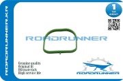 ROADRUNNER RRLF0113111
