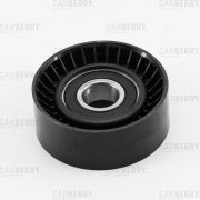CARBERRY 55CA141