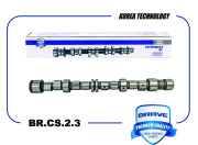 BRAVE BRCS23