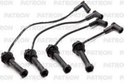 PATRON PSCI2061