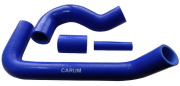 CARUM 3151481303000