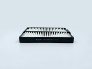 BIG FILTER GB98078