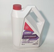 C.N.R.G. CNRG2300005P