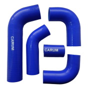 CARUM 421130300015
