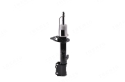 IBERIS IB132003