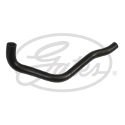 Gates 021794