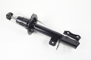 ZF Russia 318897ZFR