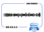 BRAVE BRCS22