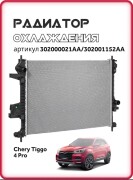 CHERY 302000021AA