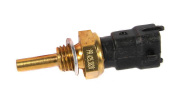 PRAVT PR4253828