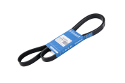 Globelt 6PK1615