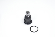 ZF Russia 3827601ZFR